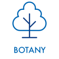 BOTANY